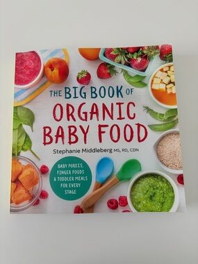 The Big Book of Organic Baby Food